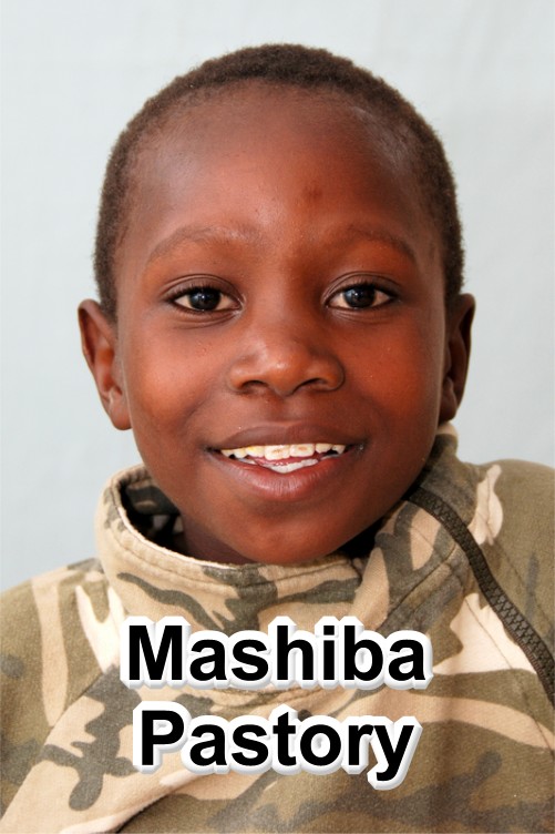 Mashiba Pastory 500
