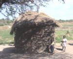 Village house