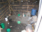 lucas home litchen