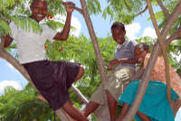Tree girls -200