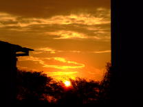 DSCF0333
