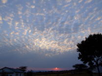 DSCF0742