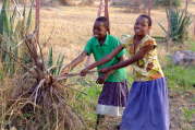 Minza and Hapyness finding some kindling