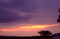 DSCF1019