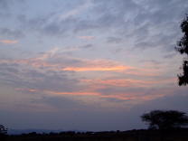 DSCF1123