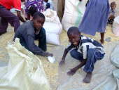 Maize drying