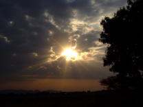 DSCF1487