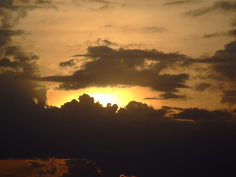 DSCF1566