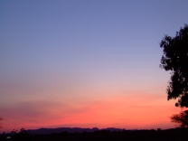 DSCF1653