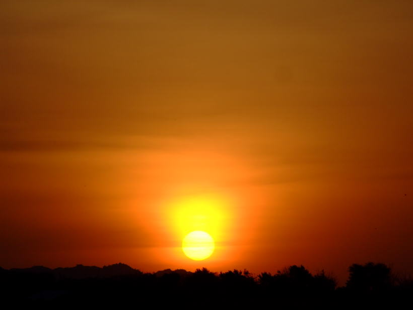 DSCF1654