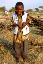 Shaibu